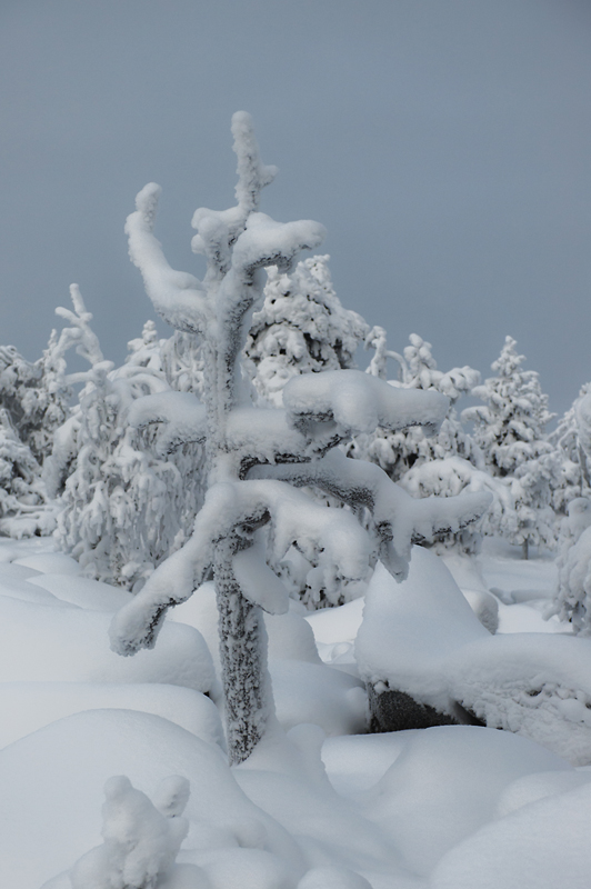 Aavasaksa14_B_800px.jpg - Kaamoskuvausta.