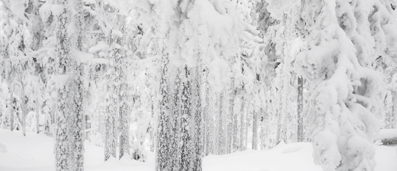 Aavasaksa1_800px.jpg - Kaamoskuvausta