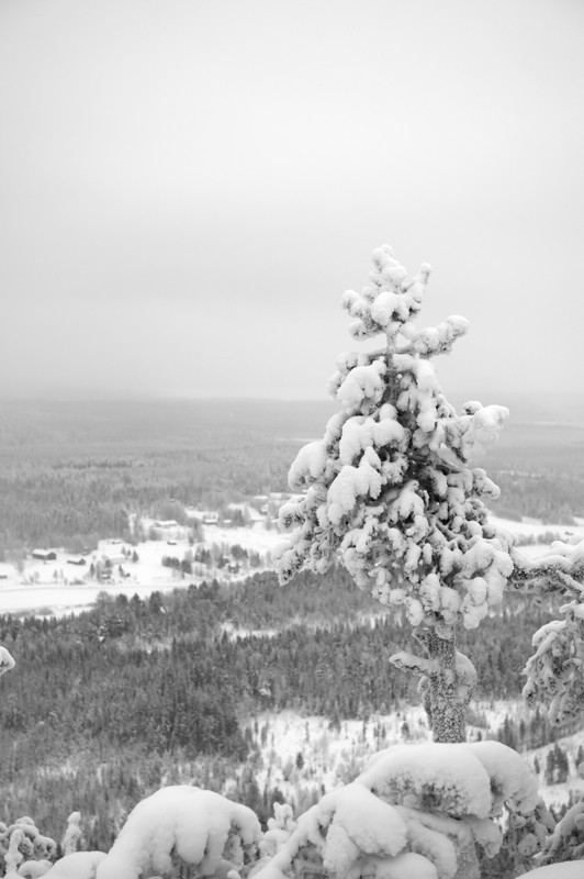 Aavasaksa2_bw_800px.jpg - Kaamoskuvausta.