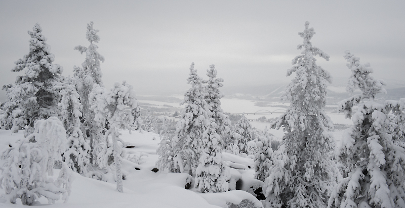 Aavasaksa31_800px.jpg - Kaamoskuvausta.
