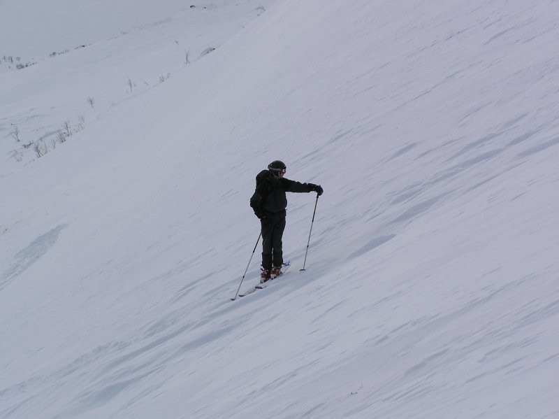 Click for the original image