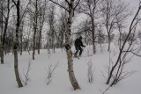 Metsalaskua * combat skiing * 800 x 535 * (138KB)
