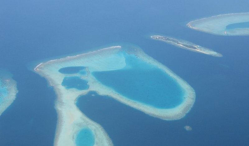 Click for the original image