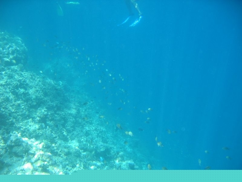 Click for the original image