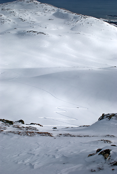 w.jpg - Skinning path upwards