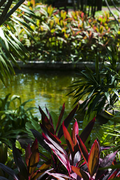 Garden3_600px.jpg - Garden