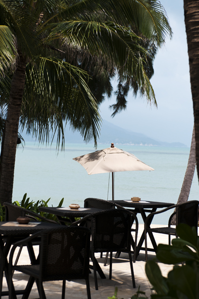 ViewTables_600px.jpg - The View