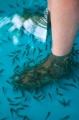 Fishtreatment3_600px