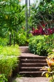 Garden1_600px