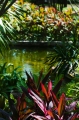 Garden3_600px