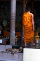 MonkAndDog_600px