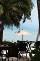ViewTables_600px