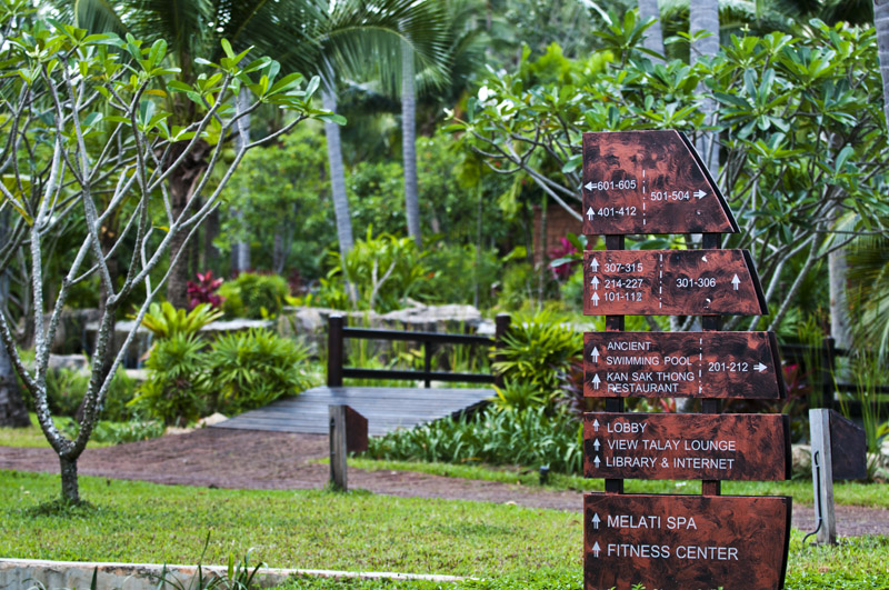 Crossroads_800px.jpg - Puutarhaa. Garden