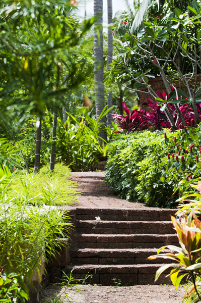 Garden1_600px.jpg - Garden