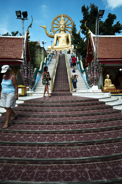 StepstoBigBuddha_600px.jpg - Raput Big Buddhalle. Stairs to Big Buddha.